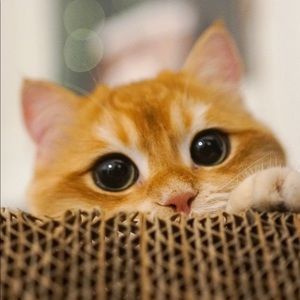 Meet your Posher, Alejandra